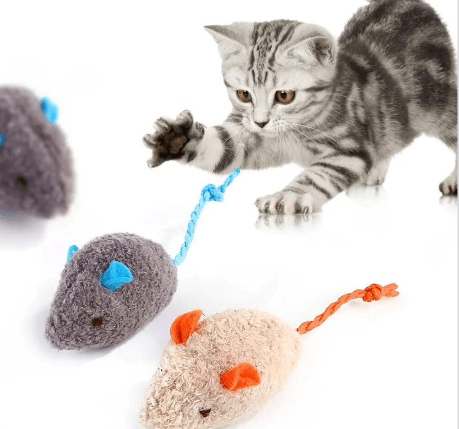 A Guide for New Cat Owners: Entertainment and Exercise for Cats
